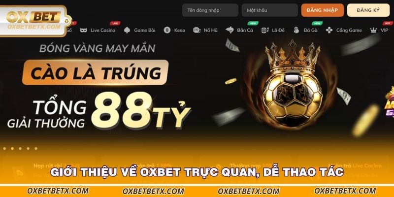 gioi-thieu-ve-oxbet-truc-quan-de-thao-tac