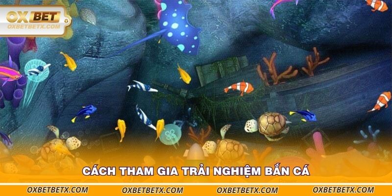 cach-tham-gia-trai-nghiem-ban-ca