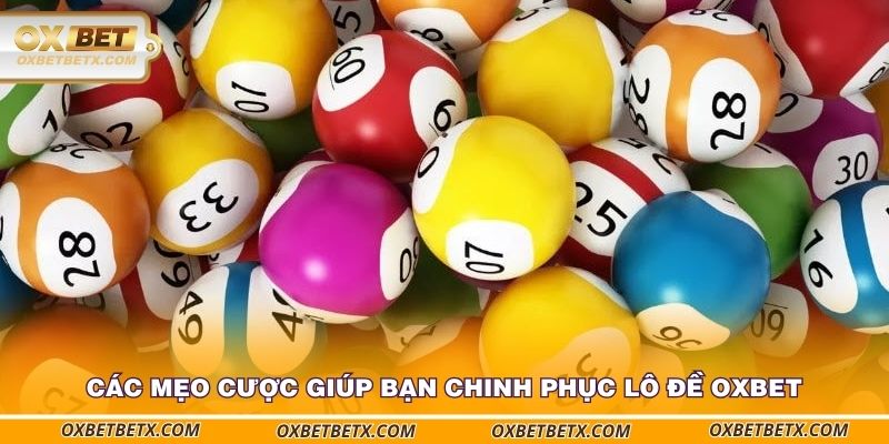 cac-meo-cuoc-giup-ban-chinh-phuc-lo-de-oxbet